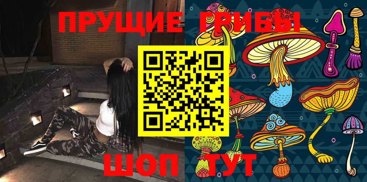 Псилоцибиновые грибы мухоморы Кузнецк