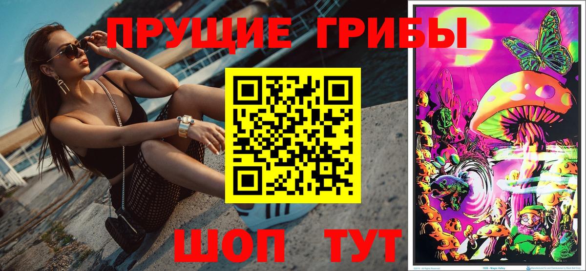 Галлюциногенные грибы Psilocybine cubensis  Вход с VPN  Кузнецк 